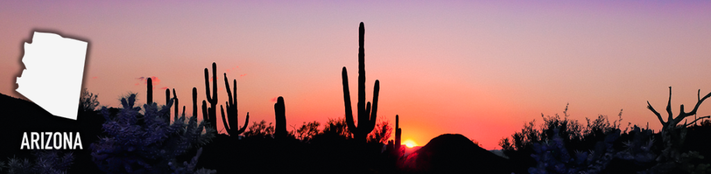 Pour Choices Arizona